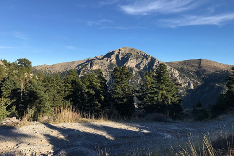 Athens - Flabouritsa Gorge Hike with Transfer and Guide