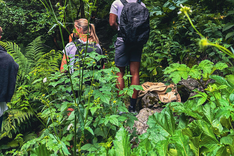 Kazbegi: Gveleti Waterfalls Private Tour with 4x4