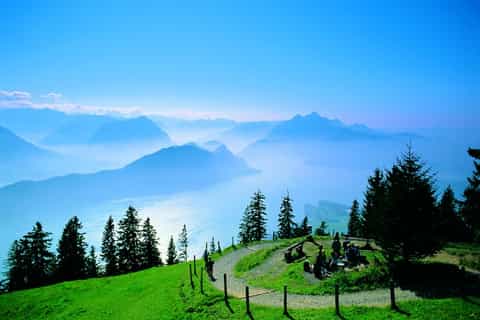 Mount Rigi: 2-Day Wellness Experience from Zurich
