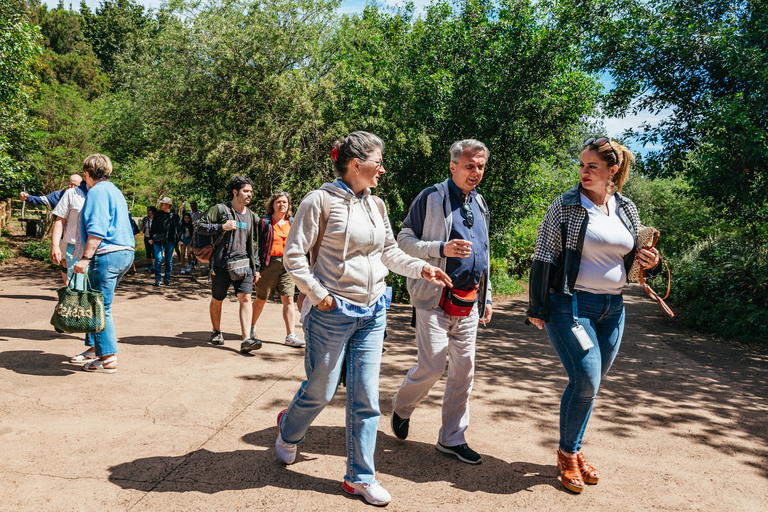 Z południa Teneryfy: wycieczka na wyspę La Gomera