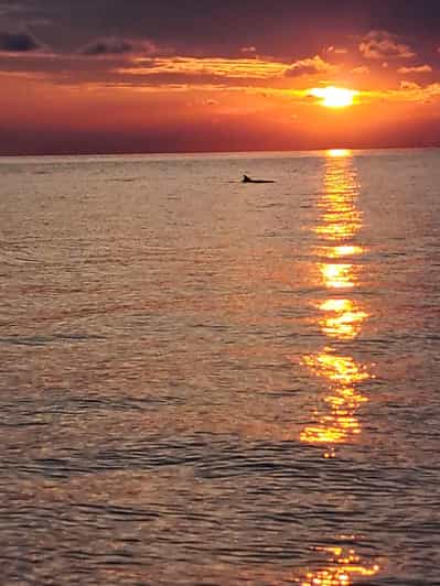 Umago: Tour panoramico con osservazione dei delfini e tramonto