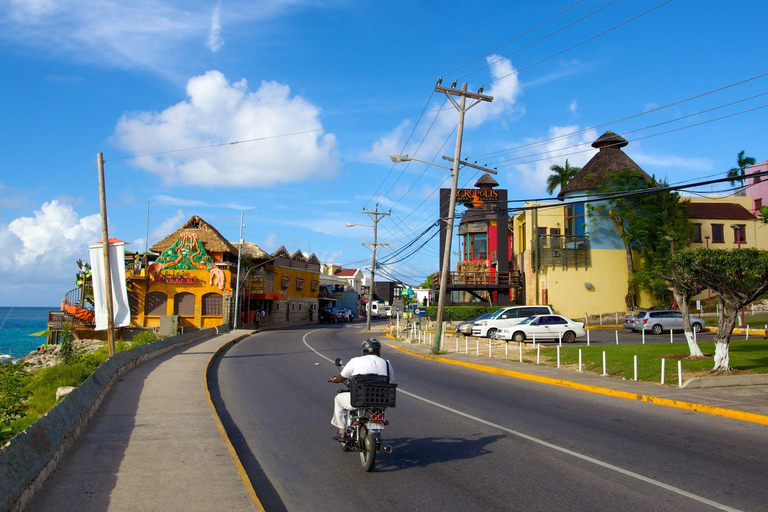 Montego Bay: Full-Day Guided Tour with Hotel Pickup