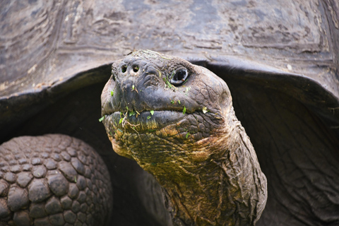 3 visites d&#039;une jounée dans l&#039;archipel des Galápagos