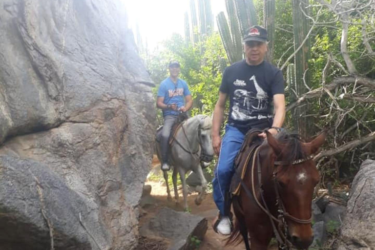 Aruba: Sunrise Horseback Riding Tour with Hotel Transfer