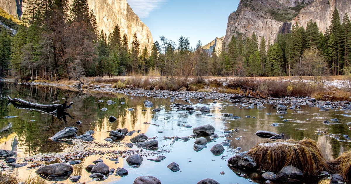 sequoia national park tour from san francisco