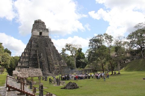 Da Flores: tour di 1 giorno a Tikal con pranzo
