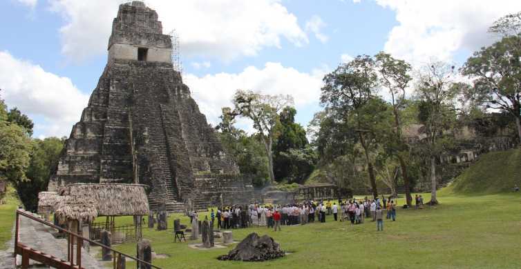 Tikal Day Tour From Flores With Lunch GetYourGuide