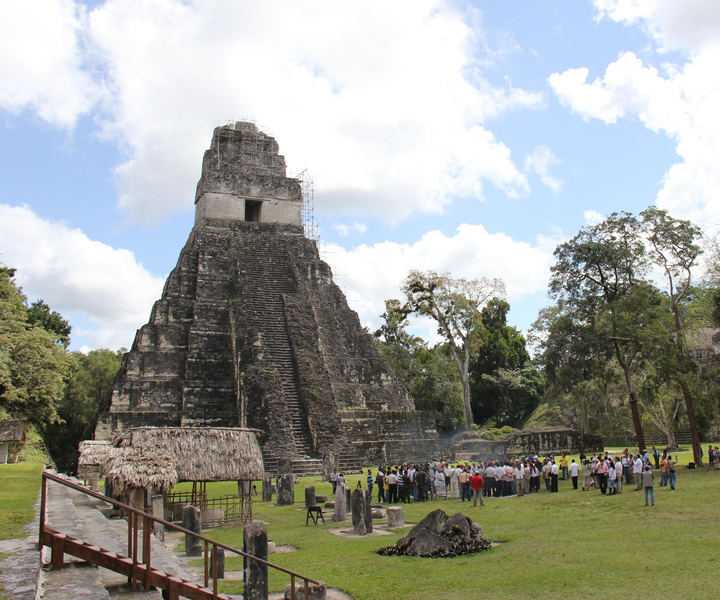 Excursão de 1 Dia Tikal saindo de Flores com Almoço