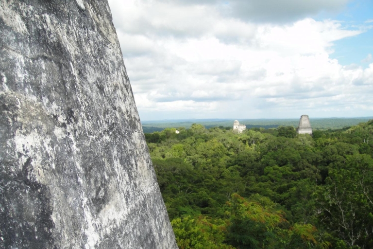 Ab Flores: Tagestour nach Tikal mit Mittagessen