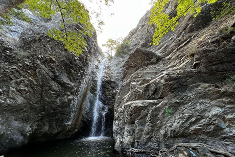 From Larnaca: Meet the Locals of Troodos Mountains