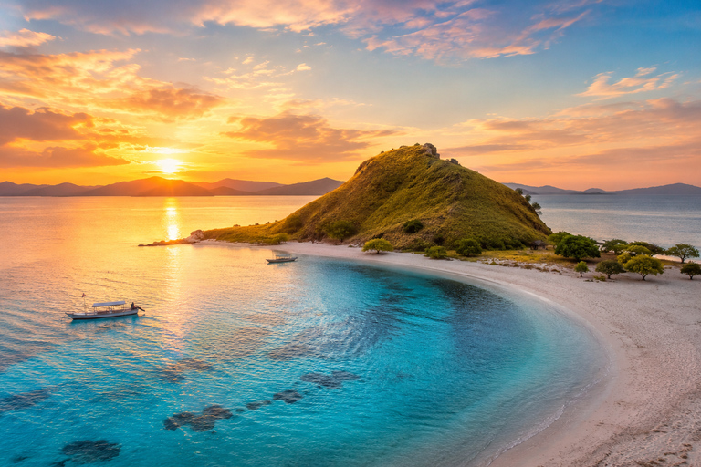 Labuan Bajo: 5-Day Komodo to Gili Trawangan Whale Shark Tour Standart Boat | Sharing Deck | No WHALE SHARK
