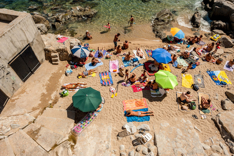 Da Barcellona: Tour di un giorno a Girona e in Costa Brava