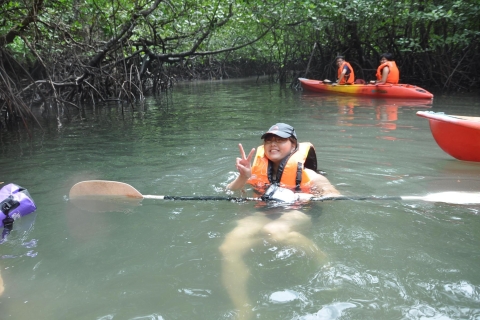 Mangrove Safari wzdłuż rzeki Kilim: 4-godzinna wycieczka kajakiemWycieczka z lunchem i transferem do hotelu