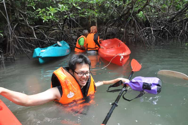 Mangrove Safari along Kilim River: 4/5 Hours Kayaking Tour | GetYourGuide