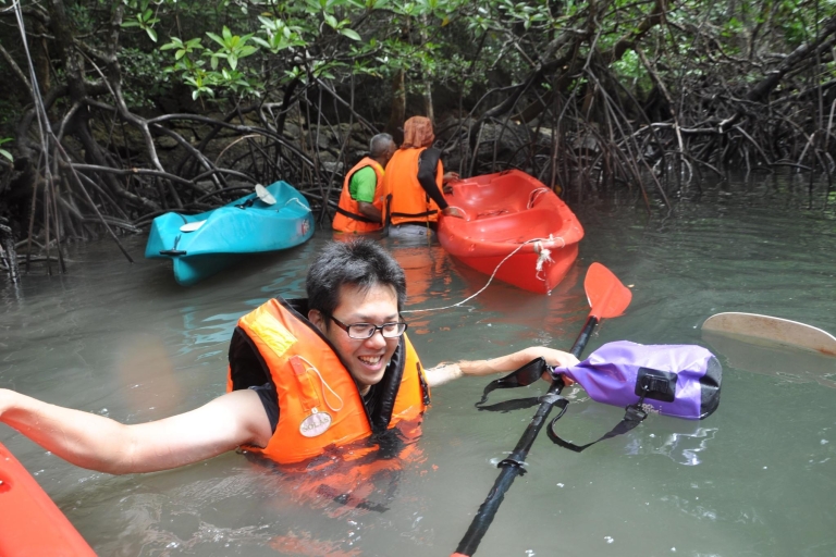 Safari dans les mangroves le long de la rivière Kilim : Excursion de 4 heures en kayakVisite avec déjeuner et transfert d'hôtel