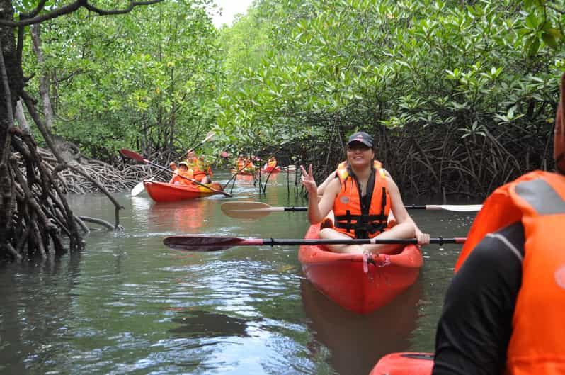 Mangrove Safari along Kilim River: 4-Hour Kayaking Tour | GetYourGuide