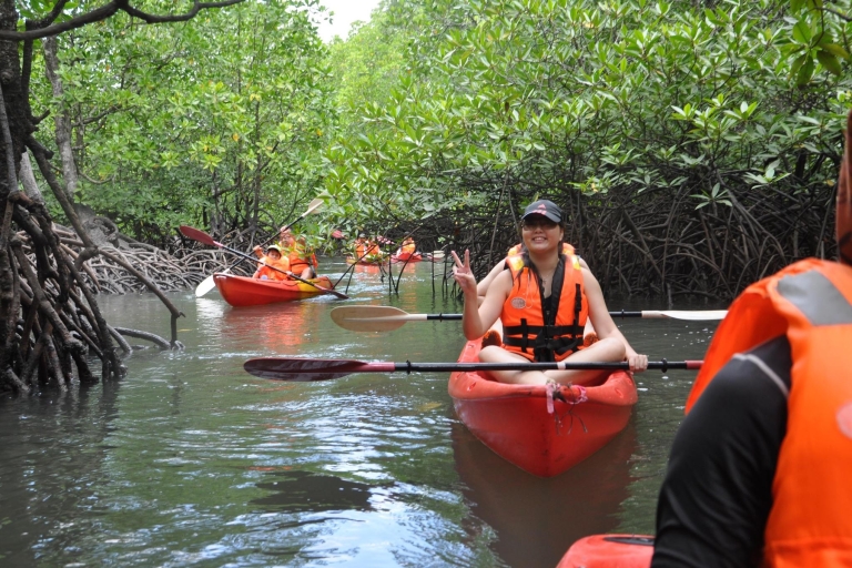 Mangrove Safari along Kilim River: 4-Hour Kayaking Tour Tour with Lunch and Hotel Transfer