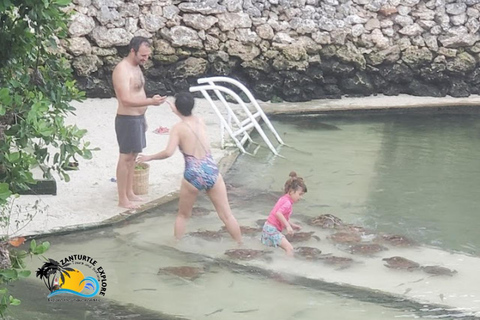 Nungwi: Swimming with Turtles at The Lagoons Zanzibar Hotel Transfers within Nungwi and Kendwa