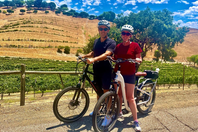 Santa Barbara: E-Bike Wine Country Tour w/ Tastings & Lunch