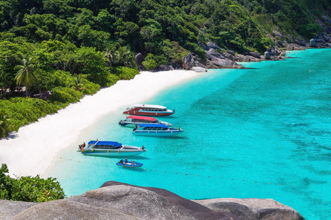 Phuket/Khaolak : excursion en catamaran à grande vitesse dans les îles Similan