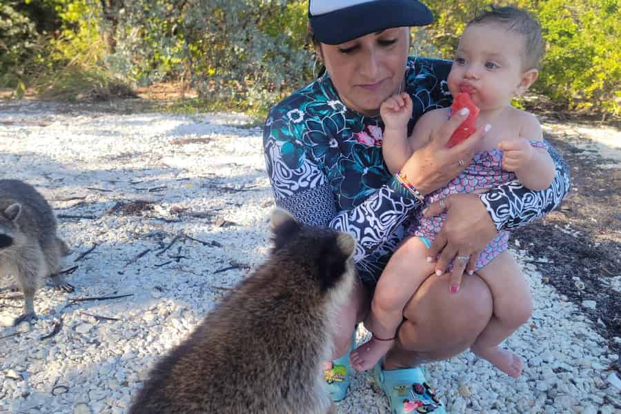 Raccoon Island: Erkundung mit SUP/Kajak. Foto: GetYourGuide