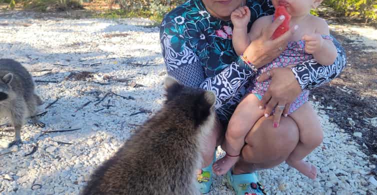 Raccoon Island: Exploration on SUP/Kayak photo 3