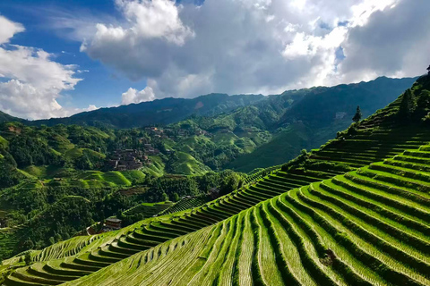 From Guilin/Yangshuo: Longji Rice Terraces Private Tour From Guilin: Longji Rice Terraces Private Tour