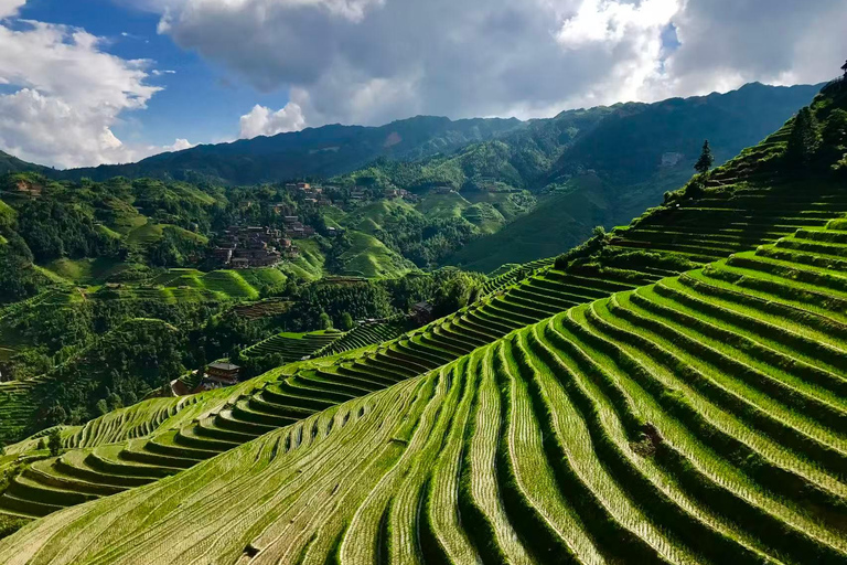 From Guilin/Yangshuo: Longji Rice Terraces Private Tour From Guilin: Longji Rice Terraces Private Tour