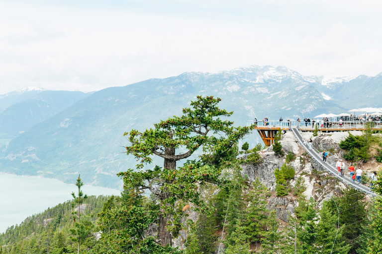 Vancouver: Sea to Sky Gondola e viagem de 1 dia a WhistlerVancouver: Excursão de 1 Dia a Whistler com Gôndola Sea to Sky