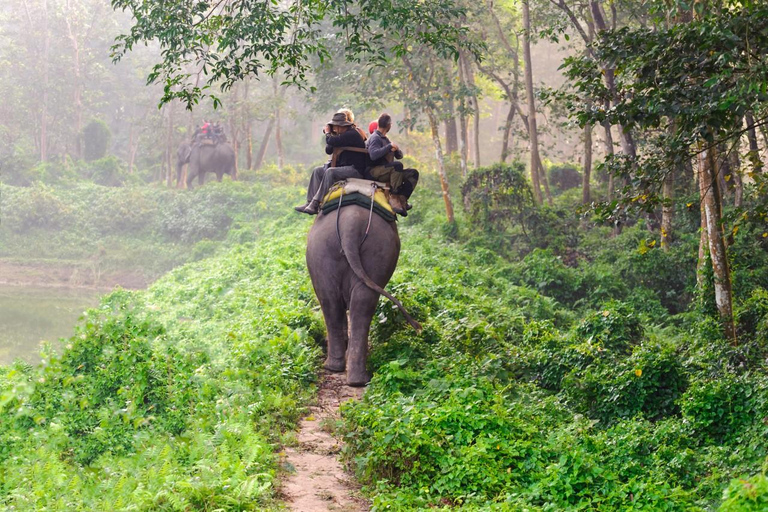 Safari privado de 3 días por Chitwan