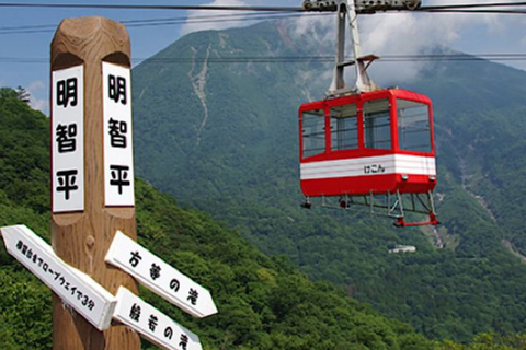 From Tokyo: Nikko UNESCO Sites Private English Guided Tour