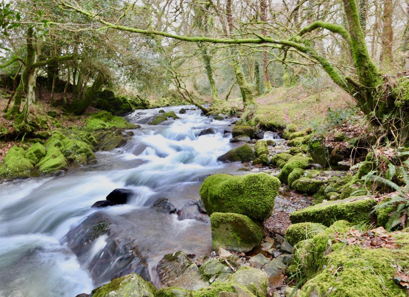 Dartmoor: Guidede byvandringer
