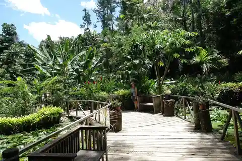 FIJI : Visite du jardin du géant endormi