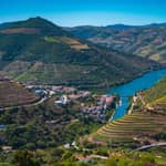 Porto: Tour della valle del Douro con pranzo, crociera in barca e degustazioni