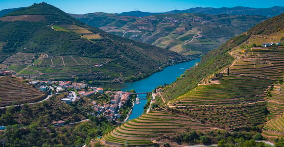 Excursão ao Douro com almoço: o que os 55 € realmente incluem