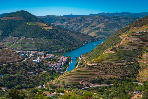 Oporto: Excursión por el Valle del Duero con almuerzo, crucero en barco y degustaciones
