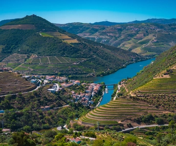 Porto: Douro Valley Tour with Lunch, Boat Cruise & Tastings