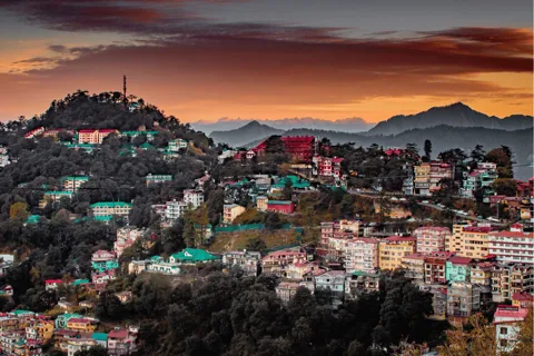 Shimla Nature Walk (3 Hours Guided Trekking Experience)