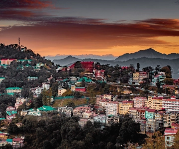 Shimla Nature Walk (esperienza di trekking guidato di 3 ore)