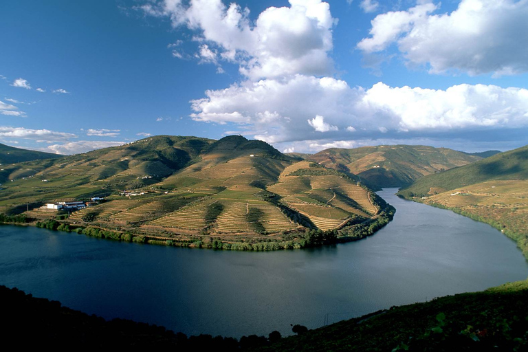 Douro Valley: Full-Day Private Wine Tour with Lunch