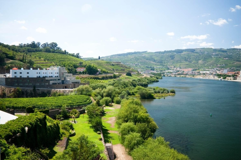 Valle del Duero: tour privado de vino de día completo con almuerzoValle del Duero: día completo privado Wine Tour con almuerzo
