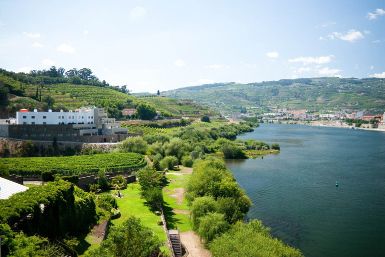 Douro Valley: Full-Day Private Wine Tour with Lunch