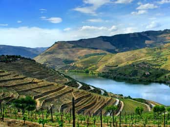 Valle del Douro: tour privato di un giorno intero da Porto