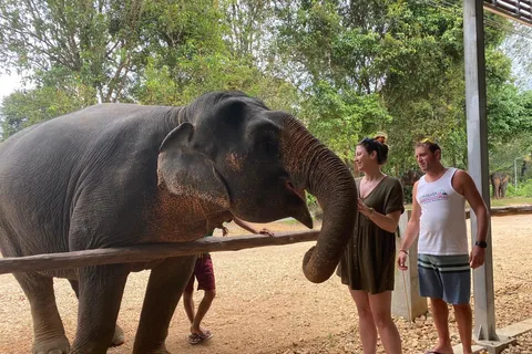 Krabi: Khao Sok Elephant Sanctuary, Rafting Tour, and Lunch