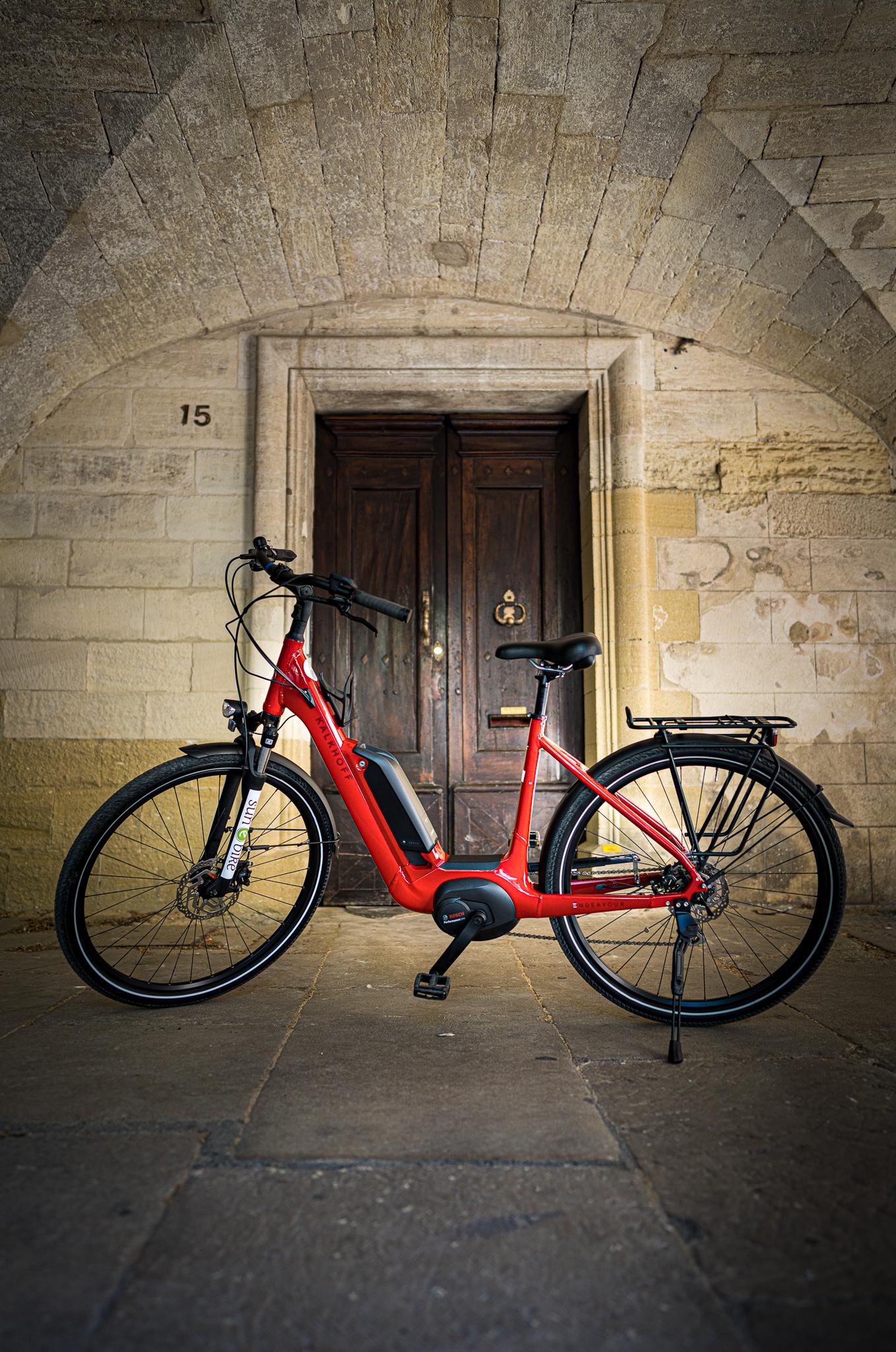 Picknick inmitten eines Weinbergs mit dem E-Bike