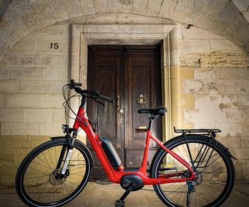 Vineyard of the Alpilles by bike