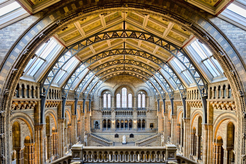 London: Natural History Museum Express Tour & Audio App