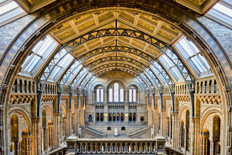 London: Natural History Museum Express Tour & Audio App