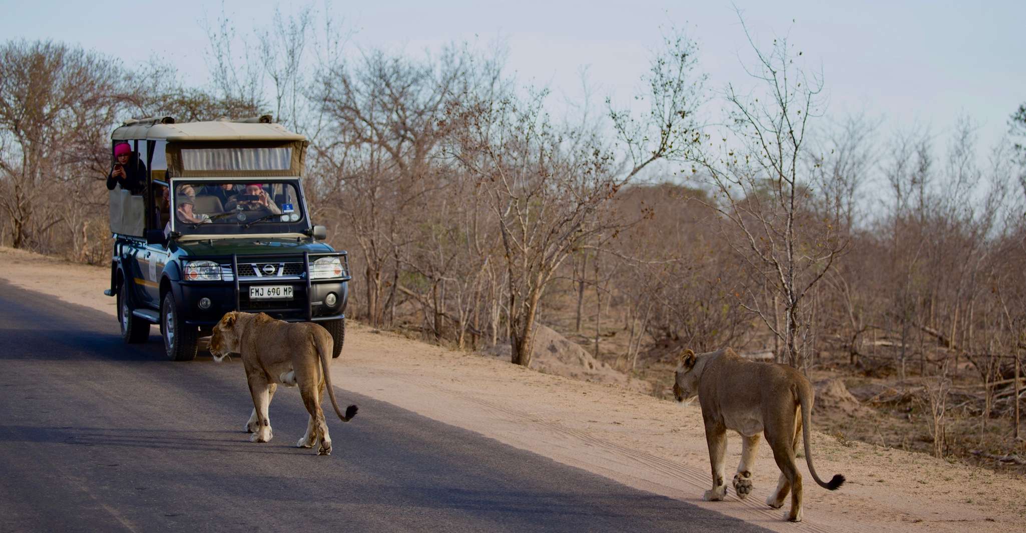 Güney Afrika'dan Victoria Falls'a 12 Günlük Macera - Hizvo