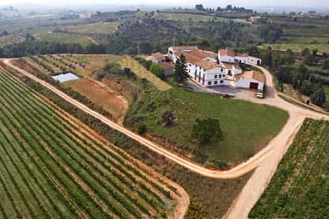Vilafranca del Penedès: Winery Visit with Tastings